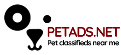 Petads.net - Pet Classifieds near me